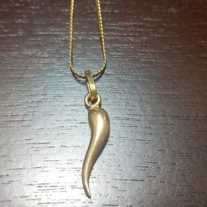 14K Gold Italian horn necklace